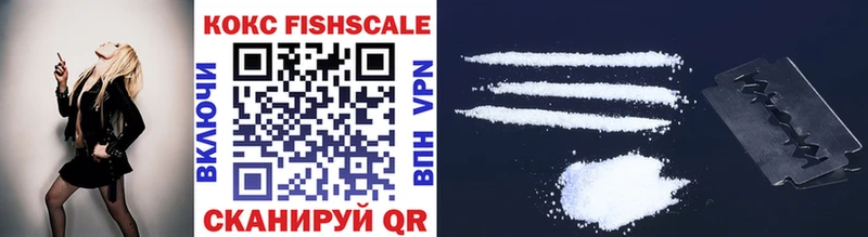 купить наркоту  hydra ссылки  Cocaine Fish Scale  сайты даркнета формула  Нытва 