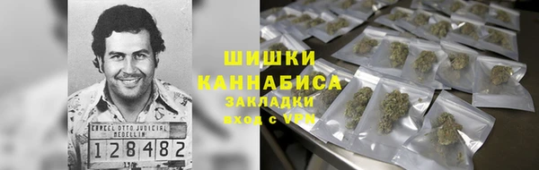 ПСИЛОЦИБИНОВЫЕ ГРИБЫ Алзамай