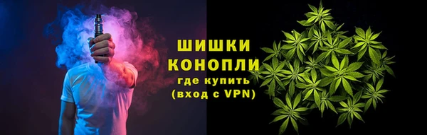ПСИЛОЦИБИНОВЫЕ ГРИБЫ Алзамай