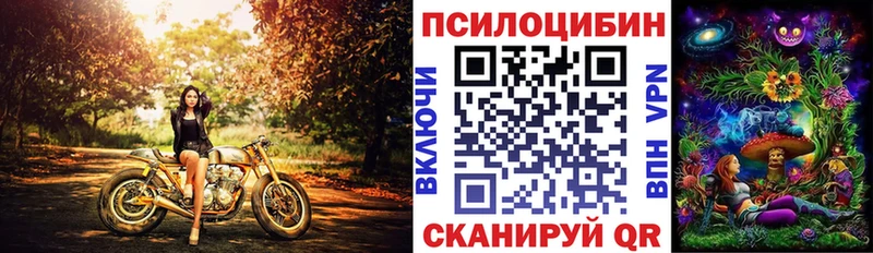 KRAKEN сайт  Нытва  Галлюциногенные грибы мицелий 